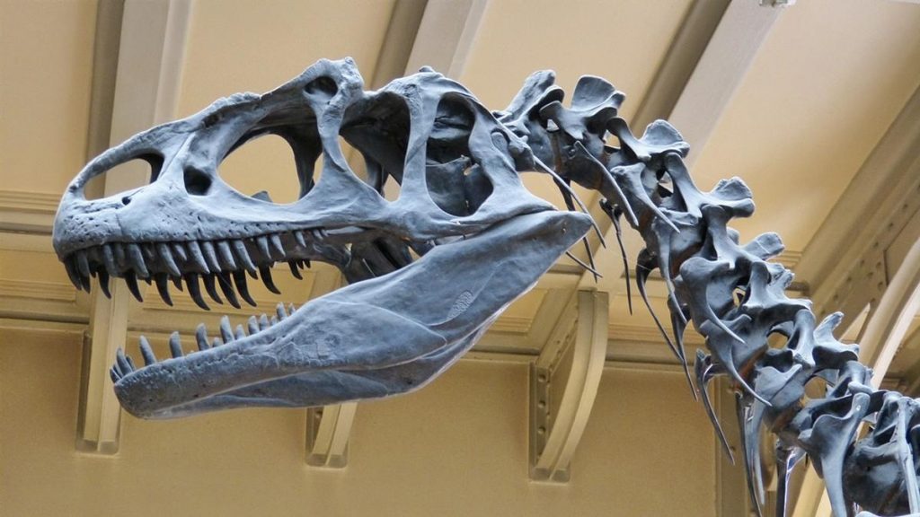 Poznaj historię prehistorycznych zwierząt w Parku dinozaurów