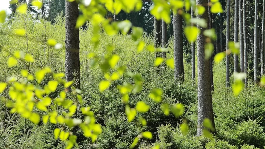 Dlaczego ochrona środowiska jest kluczowa dla przyszłych pokoleń? geotrans sa odpowiada